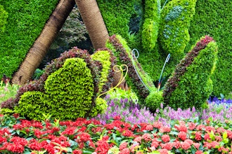 Photographing Garden Sculpture